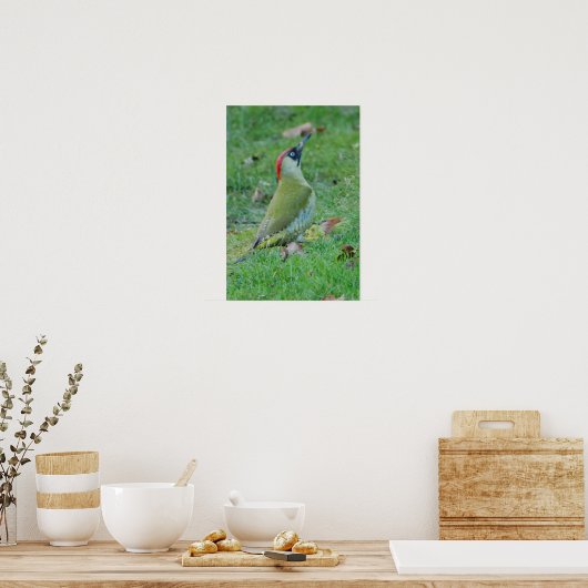 Green Woodpecker Poster (Küche)