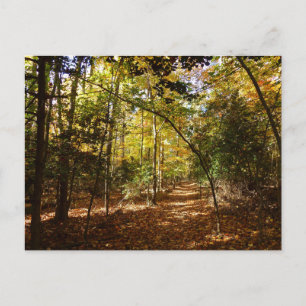 Greenbelt Park im Herbst I Maryland Landschaft Postkarte