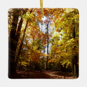 Greenbelt Park im Herbst II Maryland Naturszene Keramikornament