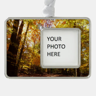 Greenbelt Park im Herbst II Maryland Naturszene Rahmen-Ornament Silber