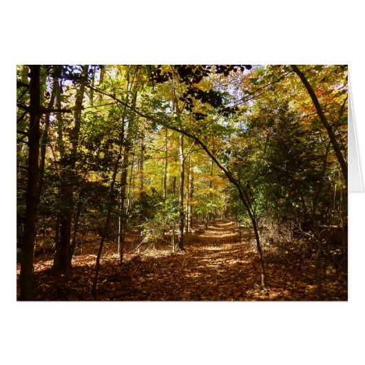 Greenbelt Park in Herbst I Maryland Landschaft (Vorderseite (Horizontal))