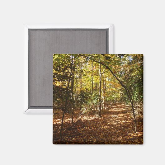 Greenbelt Park in Herbst I Maryland Landschaft Magnet (Vorderseite/Rückseite)