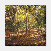 Greenbelt Park in Herbst I Maryland Landschaft Magnet (Vorne)