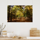 Greenbelt Park in Herbst I Maryland Landschaft Poster (Küche)