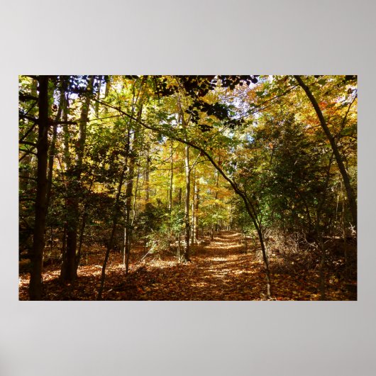Greenbelt Park in Herbst I Maryland Landschaft Poster (Vorne)