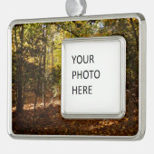 Greenbelt Park in Herbst I Maryland Landschaft Rahmen-Ornament Silber (Links)
