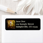 Greenbelt Park in Herbst II Maryland Naturlandscha (Insitu)