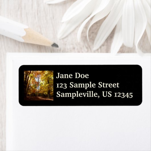 Greenbelt Park in Herbst II Maryland Naturlandscha (Insitu)