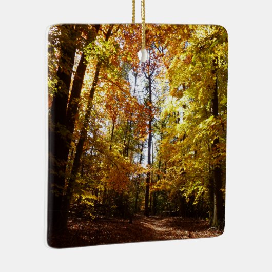 Greenbelt Park in Herbst II Maryland Naturlandscha Keramikornament (Rechts)