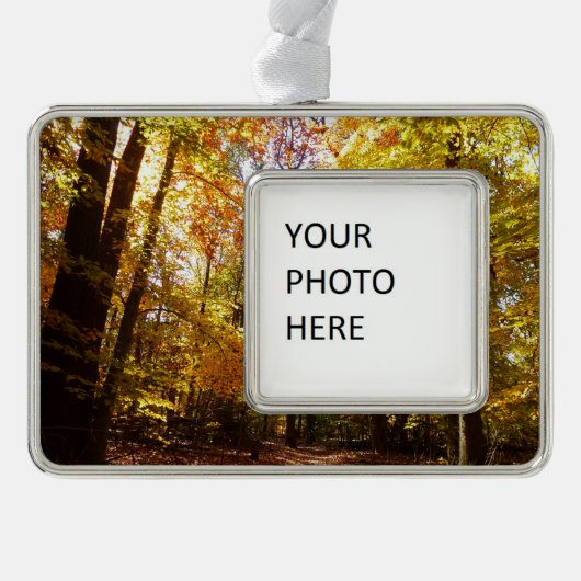 Greenbelt Park in Herbst II Maryland Naturlandscha Rahmen-Ornament Silber (Vorderseite)