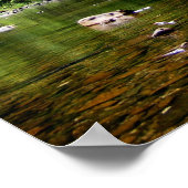 Greenbrier River, WV Poster (Ecke)