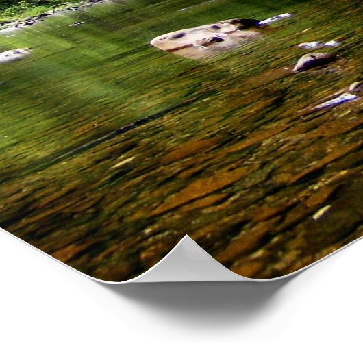 Greenbrier River, WV Poster (Ecke)