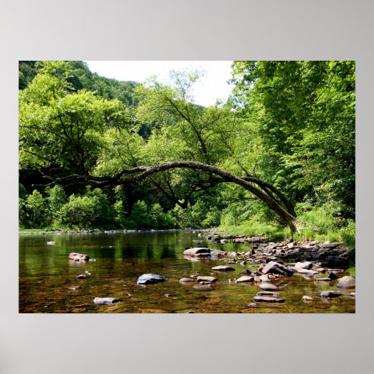 Greenbrier River, WV Poster (Vorne)