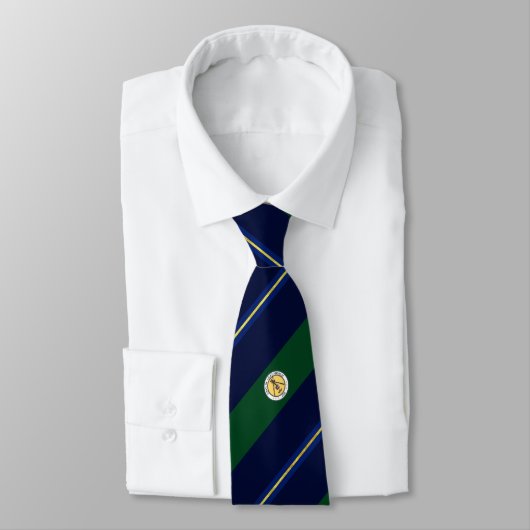 Greenburgh (New York) Stadtflagge Neck Tie Krawatte (Gebunden)