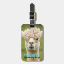 Greenery Holiday Vacation Alpaca