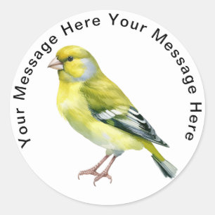 Greenfinch Runder Aufkleber