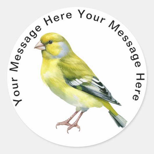 Greenfinch Runder Aufkleber (Vorderseite)