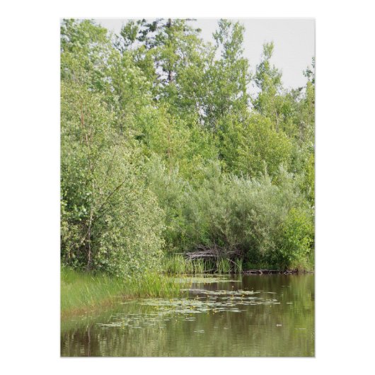 Greenhill Pond Poster (Vorderseite)