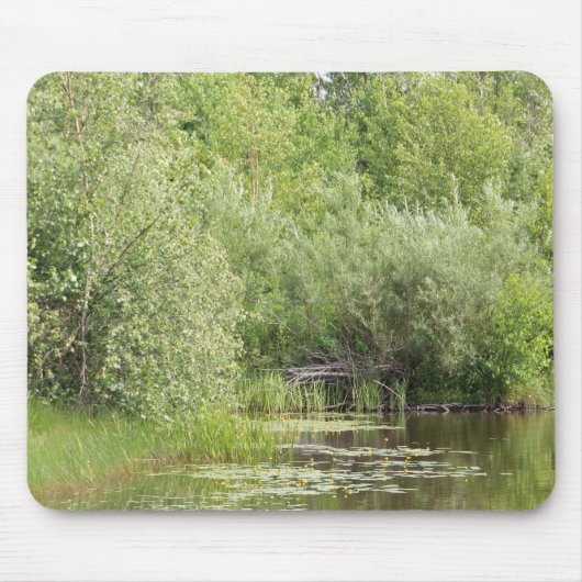 Greenhill-Teich Mousepad (Vorne)