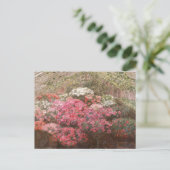 Greenhouse Azaleas | Marie Antoinette Marcotte Postkarte (Stehend Vorderseite)