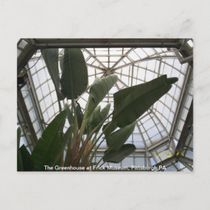 Greenhouse im Frick Museum, Pittsburgh PA Postkarte