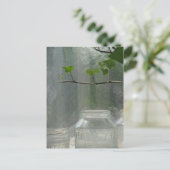 Greenhouse Postcard Postkarte (Stehend Vorderseite)