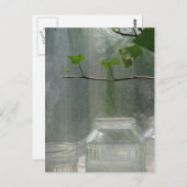 Greenhouse Postcard Postkarte (Vorne/Hinten)