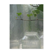 Greenhouse Postcard