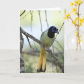 Greenjay-2 Karte (Gelbe Blume)