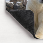 Greenland Polar Bear On an Ice Floe Mousepad (Ecke)