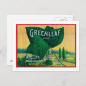 Greenleaf Lemon LabelWhittier, CA Postkarte (Vorne/Hinten)