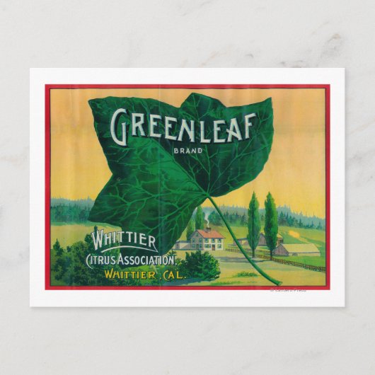 Greenleaf Lemon LabelWhittier, CA Postkarte (Vorderseite)