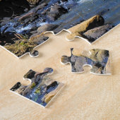 Greenville Falls South Carolina Jigsaw Puzzle (Seite)