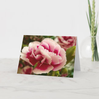 Greeting 123 Cards - Pink Carnation Karte