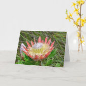 Greeting Card - Beautiful Protea in Cape Town Karte (Gelbe Blume)