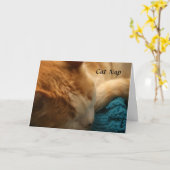 Greeting Card: Cat Nap Karte (Gelbe Blume)
