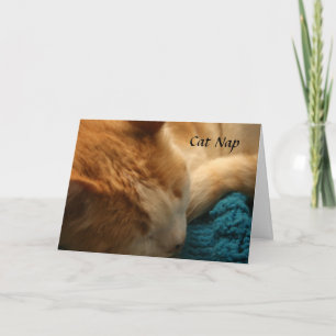 Greeting Card: Cat Nap Karte
