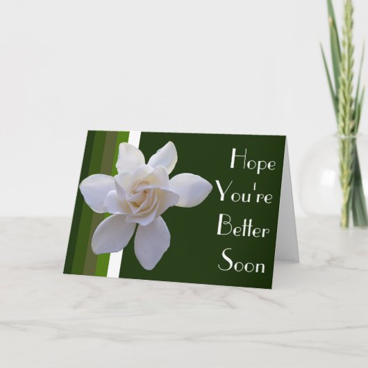 Greeting Card - Gardenia on Stripes Karte (Vorderseite)