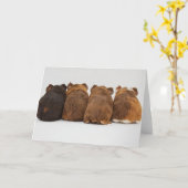 Greeting Card - Guinea Pig Butts Karte (Gelbe Blume)