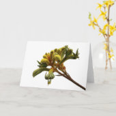 Greeting Card - Kangaroo Paw Karte (Gelbe Blume)
