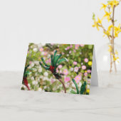 GREETING CARD - Kangaroo Paw Karte (Gelbe Blume)