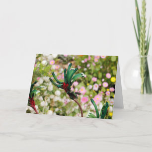 GREETING CARD - Kangaroo Paw Karte