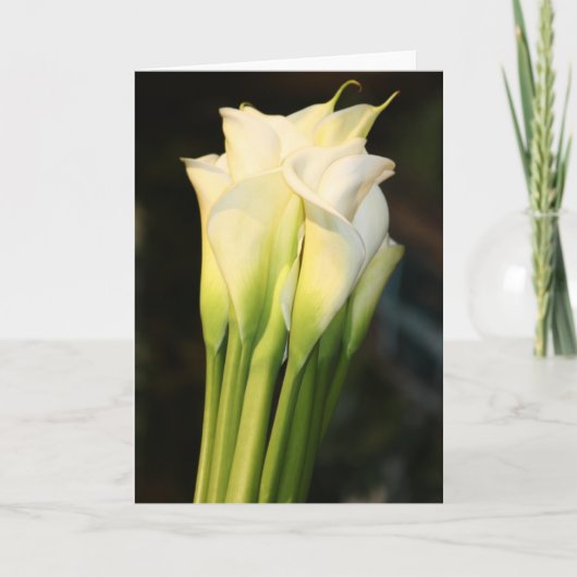 Greeting Card Karte (Vorderseite)