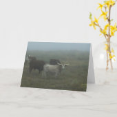 Greeting Card "Longhorns in the Fog" (blank inside Karte (Gelbe Blume)