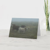 Greeting Card "Longhorns in the Fog" (blank inside Karte (Vorderseite)