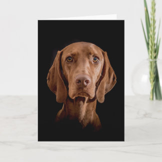 Greeting Card  "Magyar Vizsla" Karte