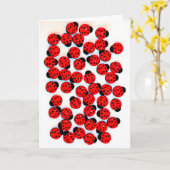 GREETING CARD MIT LADY BUGS KARTE (Gelbe Blume)