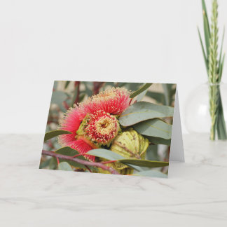 GREETING CARD - Nationale australische Eukalyptus Karte