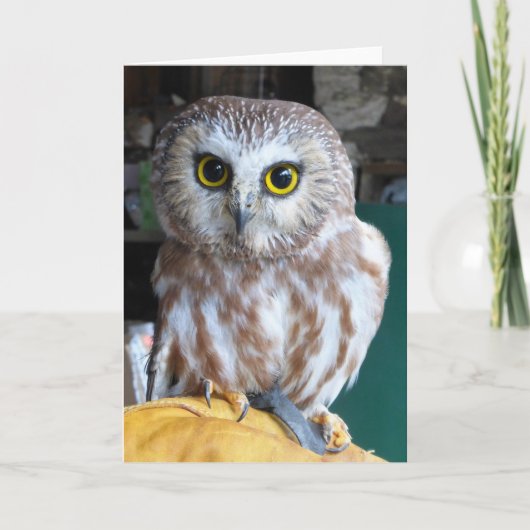 Greeting Card Owl Karte (Vorderseite)