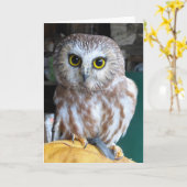 Greeting Card Owl Karte (Gelbe Blume)
